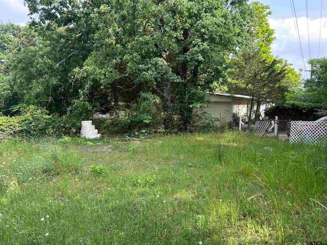 141 PR 6252, Mineola, TX 75773