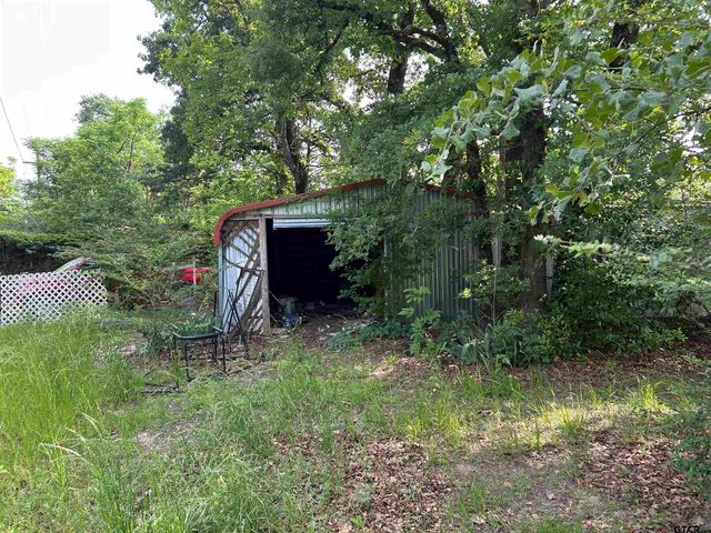 141 PR 6252, Mineola, TX 75773