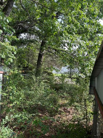 141 PR 6252, Mineola, TX 75773