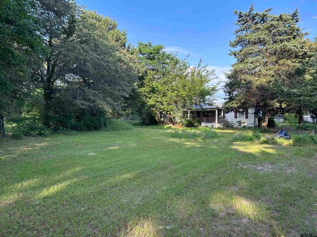 141 PR 6252, Mineola, TX 75773