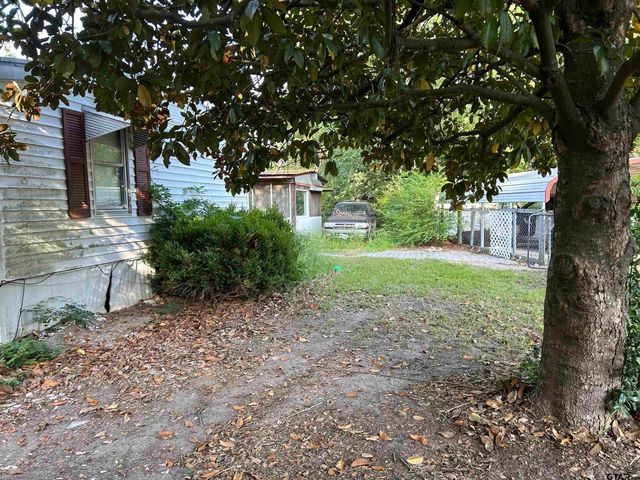 141 PR 6252, Mineola, TX 75773