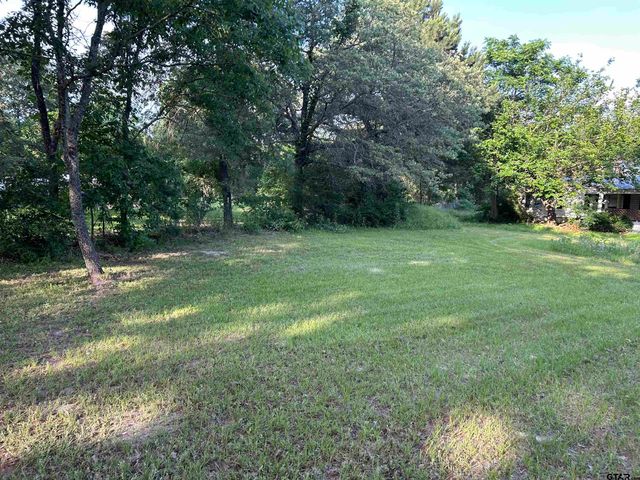 141 PR 6252, Mineola, TX 75773