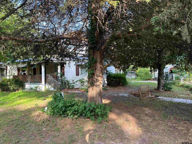 141 PR 6252, Mineola, TX 75773