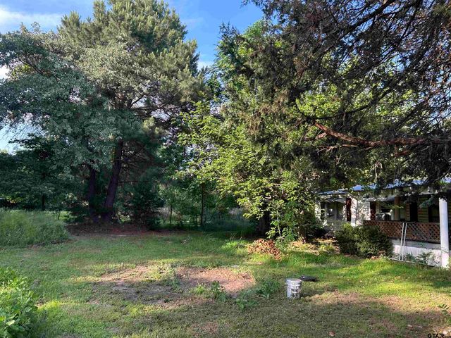 141 PR 6252, Mineola, TX 75773