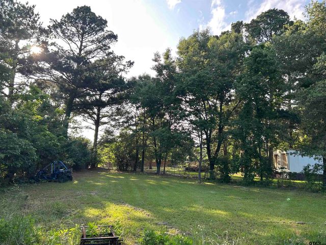141 PR 6252, Mineola, TX 75773