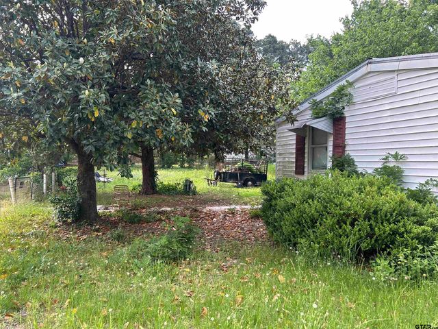 141 PR 6252, Mineola, TX 75773