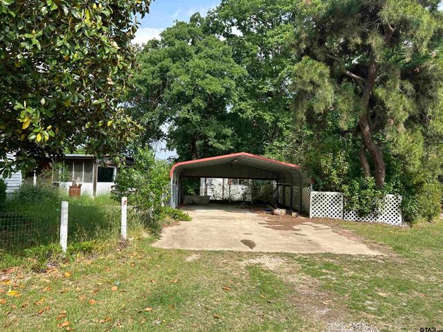 141 PR 6252, Mineola, TX 75773