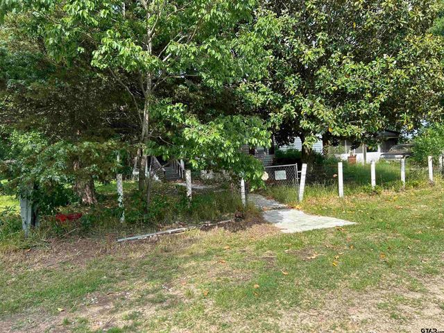 141 PR 6252, Mineola, TX 75773