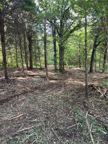 141 Eastern Hills Drive, Mabank, TX 75156