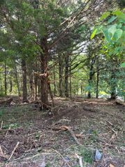 141 Eastern Hills Drive, Mabank, TX 75156