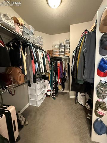 6942 Green Stalk Circle, Colorado Springs, CO 80927