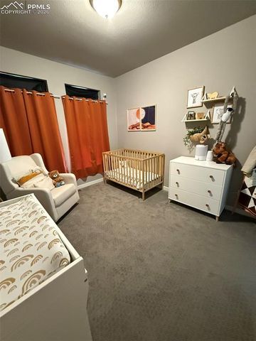 6942 Green Stalk Circle, Colorado Springs, CO 80927