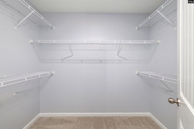 105 Setter Court, Sumter, SC 29154