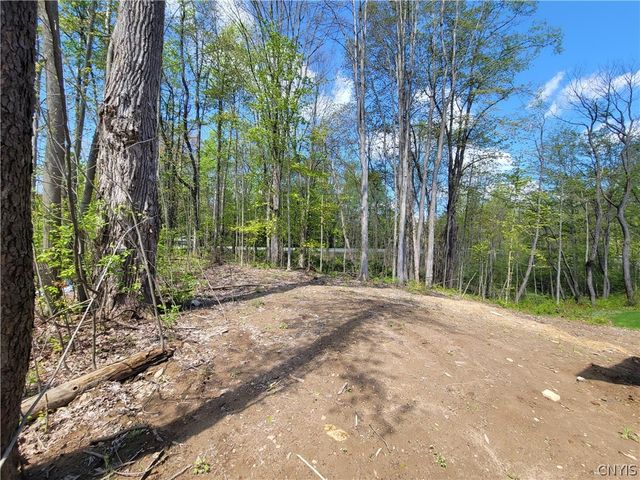 3201 CARMELLAS Circle, Lysander, NY 13027