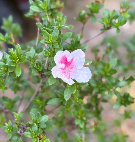 7670 SE 22ND AVENUE, Ocala, FL 34480