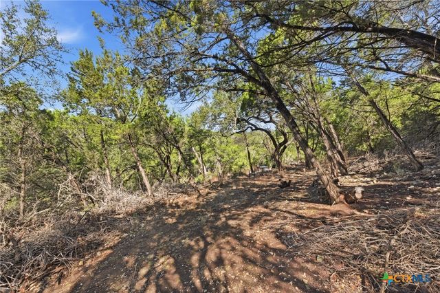 1025 Flaman Road, Canyon Lake, TX 78133