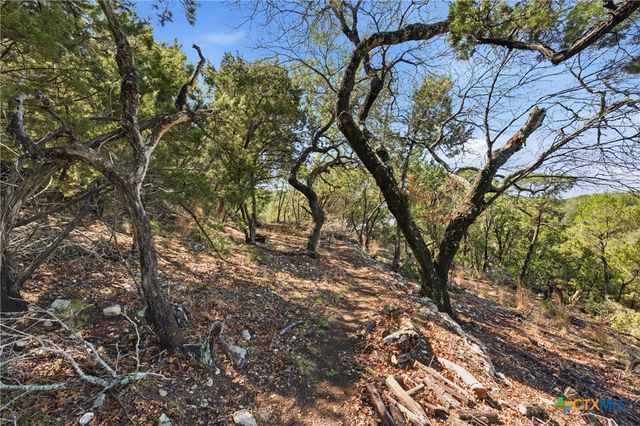 1025 Flaman Road, Canyon Lake, TX 78133