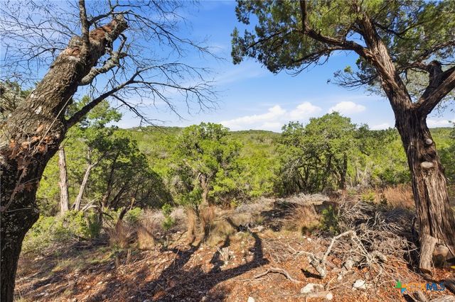 1025 Flaman Road, Canyon Lake, TX 78133