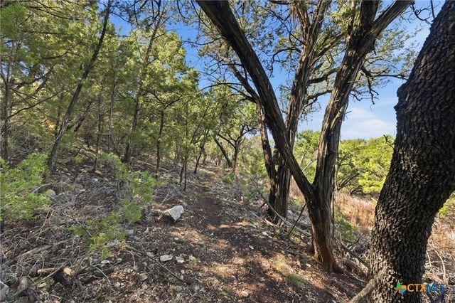 1025 Flaman Road, Canyon Lake, TX 78133