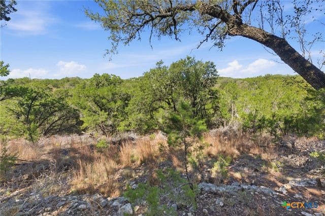 1025 Flaman Road, Canyon Lake, TX 78133