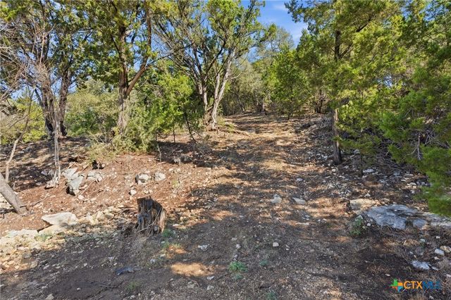 1025 Flaman Road, Canyon Lake, TX 78133