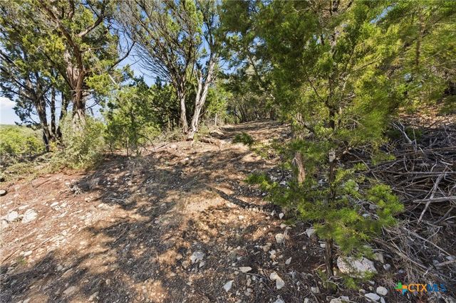 1025 Flaman Road, Canyon Lake, TX 78133