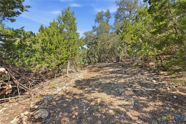 1025 Flaman Road, Canyon Lake, TX 78133