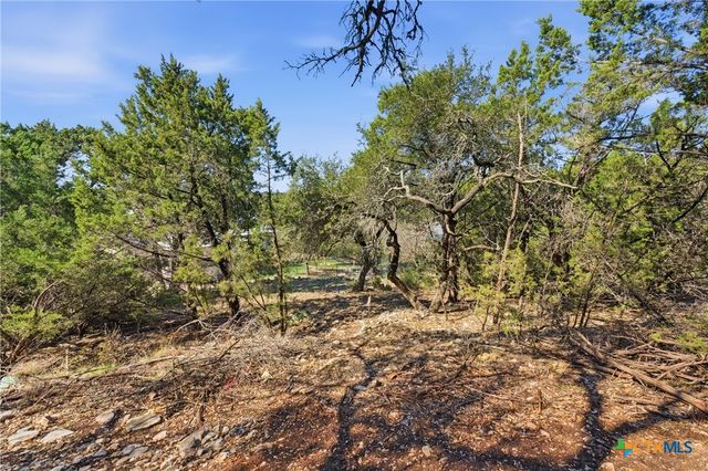 1025 Flaman Road, Canyon Lake, TX 78133