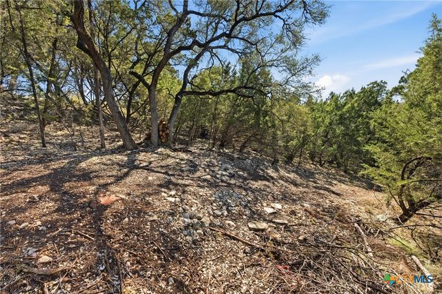 1025 Flaman Road, Canyon Lake, TX 78133