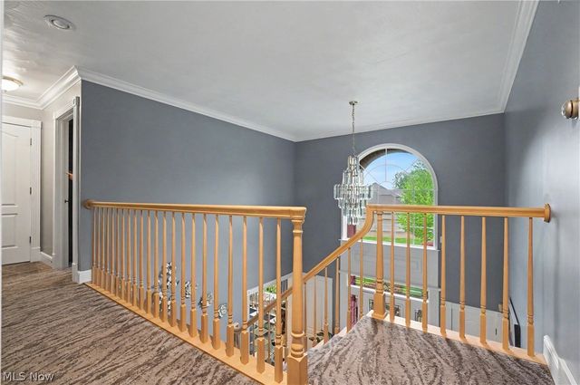 170 Oak Tree Drive, Canfield, OH 44406