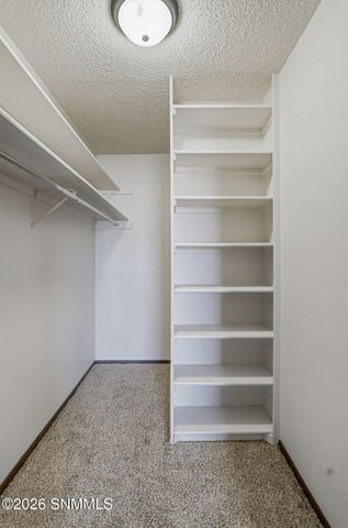 810 Camino Del Rex, Las Cruces, NM 88001