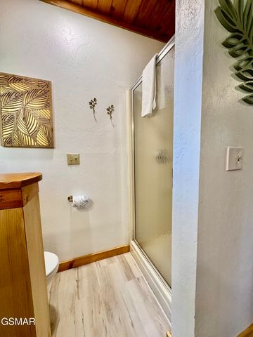 856 Bear Run Way, Sevierville, TN 37862