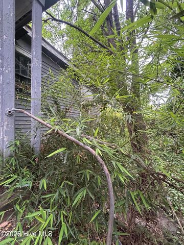 311 N James Street, Goldsboro, NC 27530