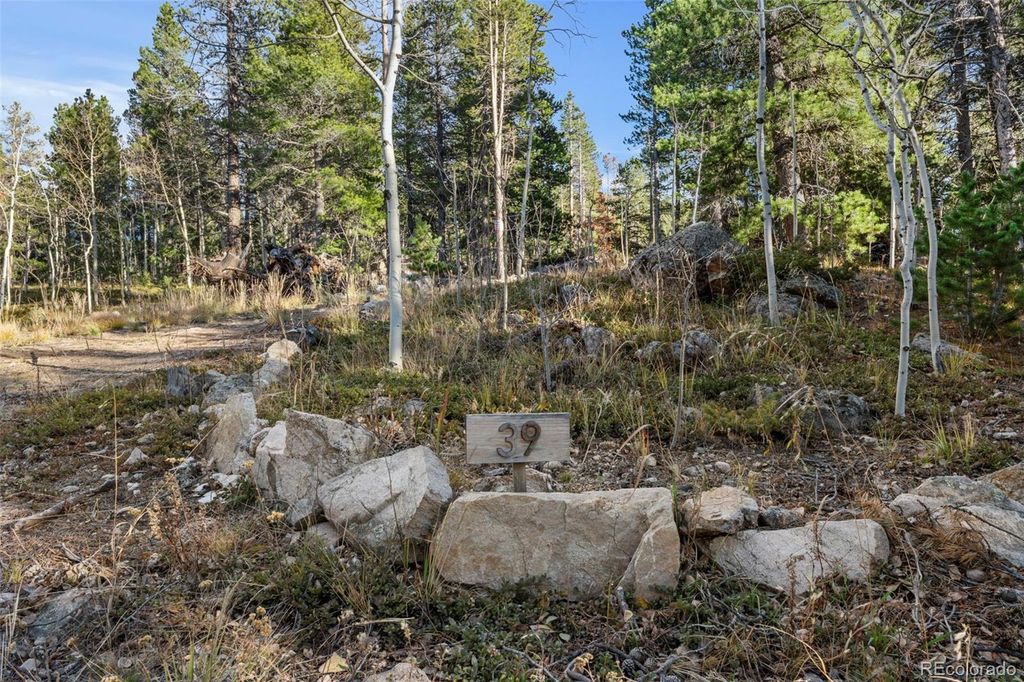 84 Severance Lodge Road, Black Hawk, CO 80422