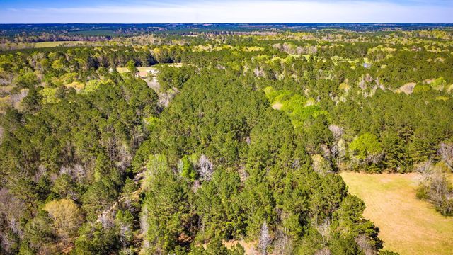 8256 Us Highway 190 E, Livingston, TX 77351