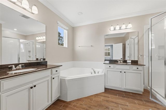 12688 SALOMON COVE DRIVE, Windermere, FL 34786