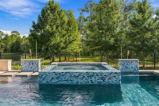 12688 SALOMON COVE DRIVE, Windermere, FL 34786