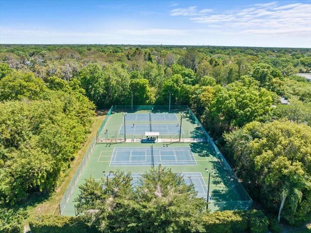 10705 CARROLLWOOD DRIVE, Tampa, FL 33618