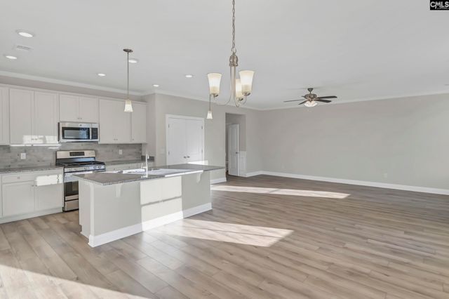 611 Thunder Gulch Avenue, Lexington, SC 29073