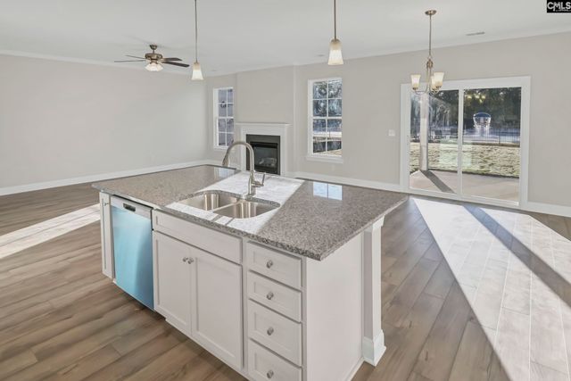 611 Thunder Gulch Avenue, Lexington, SC 29073