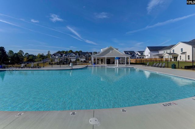 611 Thunder Gulch Avenue, Lexington, SC 29073