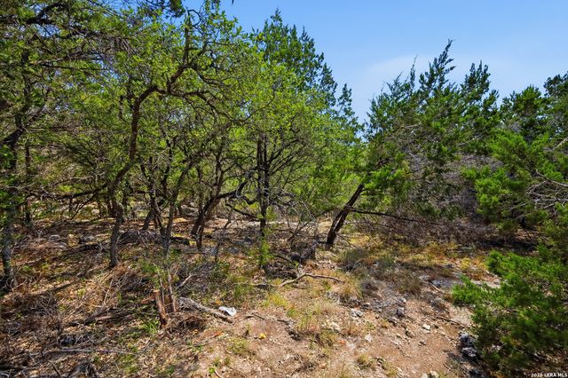 1750 Cottonwood Rd, Fischer, TX 78623