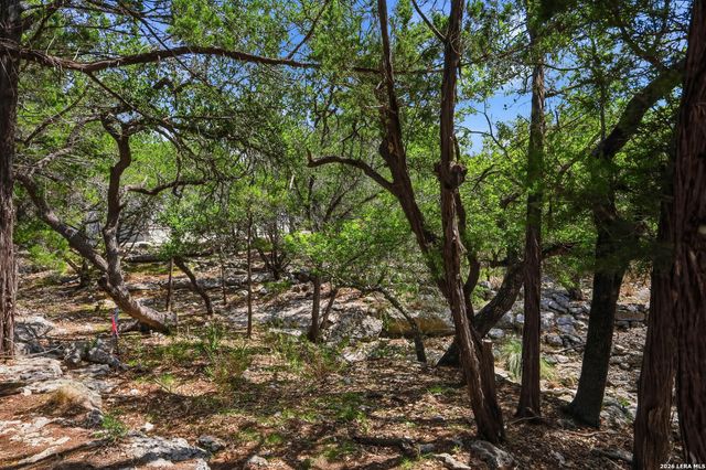1750 Cottonwood Rd, Fischer, TX 78623