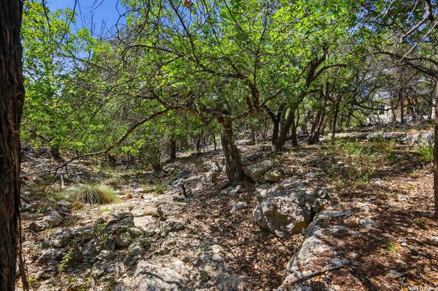 1750 Cottonwood Rd, Fischer, TX 78623