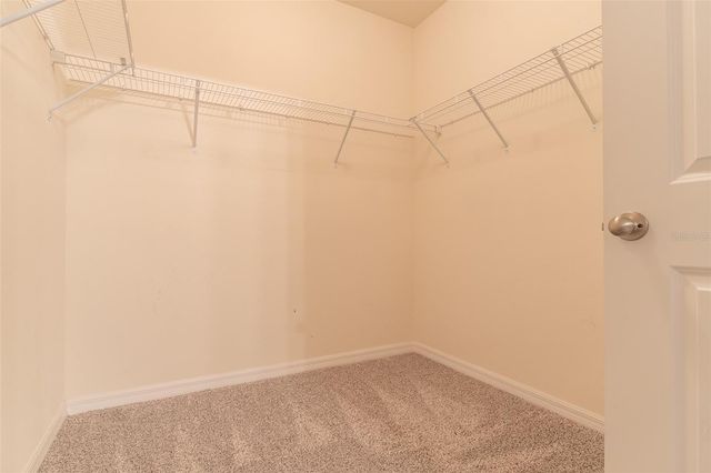 10662 PARK MEADOWBROOKE DRIVE, Riverview, FL 33578