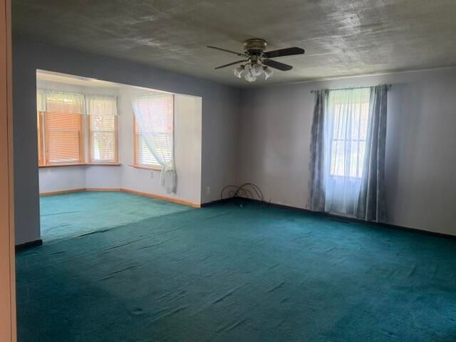 217 John Street, Newaygo, MI 49337