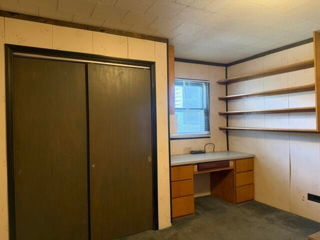 217 John Street, Newaygo, MI 49337