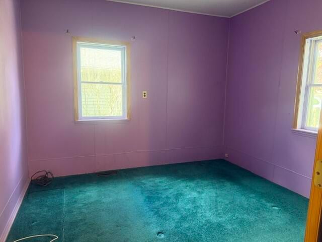 217 John Street, Newaygo, MI 49337