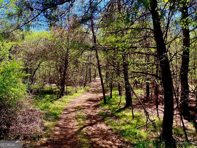 0 Toccoa River Forest, Mineral Bluff, GA 30559