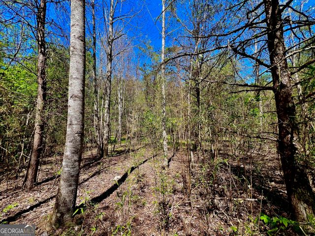 0 Toccoa River Forest, Mineral Bluff, GA 30559